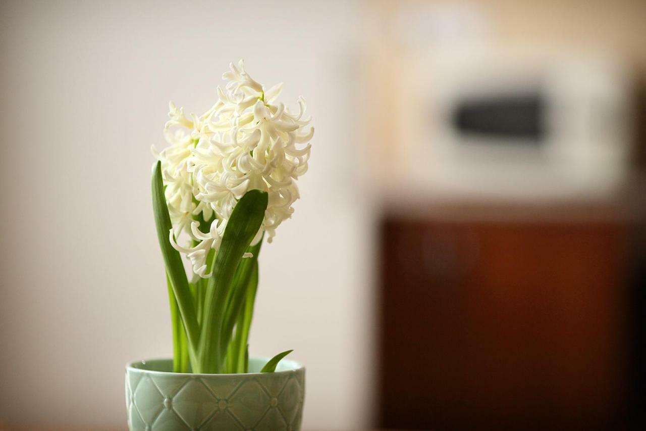 Apartment Ecomfort Kecskemét